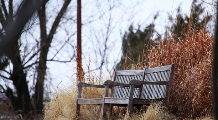 그자리에 있기에…