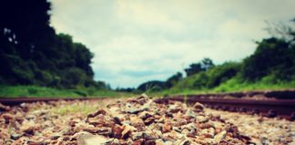 당신도 사랑을 하고 싶으세요?