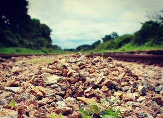 당신도 사랑을 하고 싶으세요?