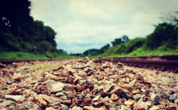 당신도 사랑을 하고 싶으세요?