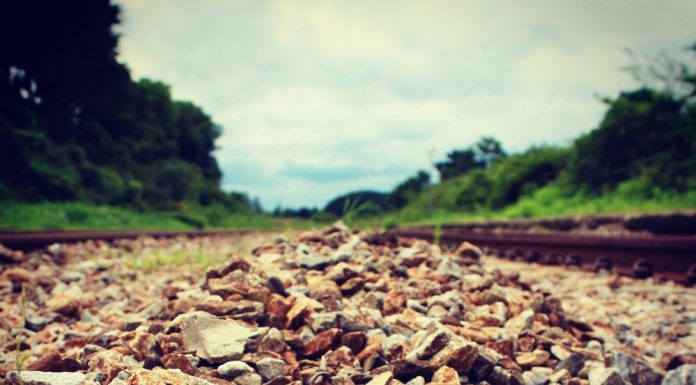 당신도 사랑을 하고 싶으세요?